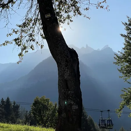 Alpina Campiglio * Madonna